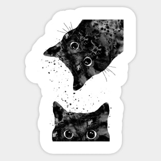 Peeking cat Sticker